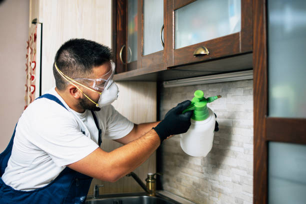  East Lansdowne, PA Pest Control Pros