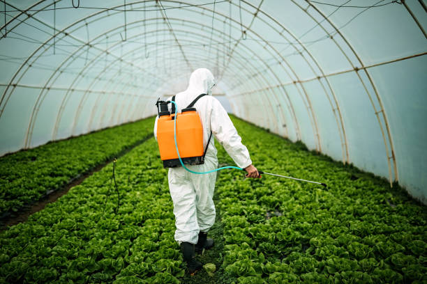 Best Ant Control Services  in East Lansdowne, PA